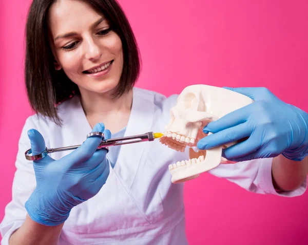 Woman dentist with a carpool syringe injects anesthetic into the gum of the artificial skull — Stock Photo, Image