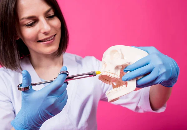 Woman dentist with a carpool syringe injects anesthetic into the gum of the artificial skull — Stock Photo, Image