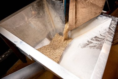 Fabrikadaki malt tohumlarını öğütme süreci