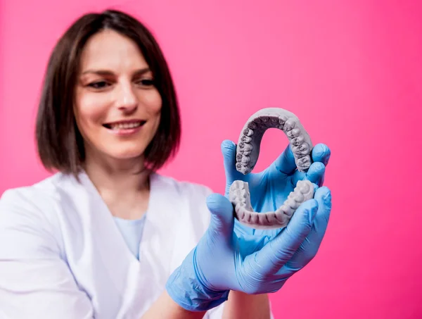 Mulher dentista segura em mãos modelos de gesso dental — Fotografia de Stock