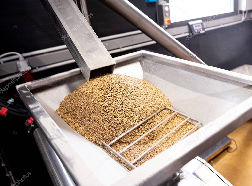 The technological process of grinding malt seeds at the mill