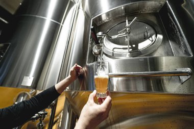 Bira fabrikasında bira demleme ekipmanı.