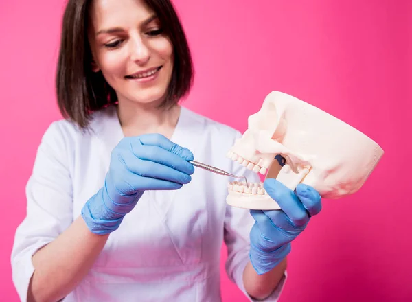 Woman dentist examines the oral cavity of the artificial skull with sterile dental instruments — Stock Photo, Image