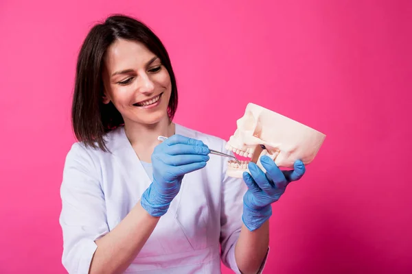 Zahnärztin untersucht Mundhöhle des künstlichen Schädels mit sterilen zahnmedizinischen Instrumenten — Stockfoto