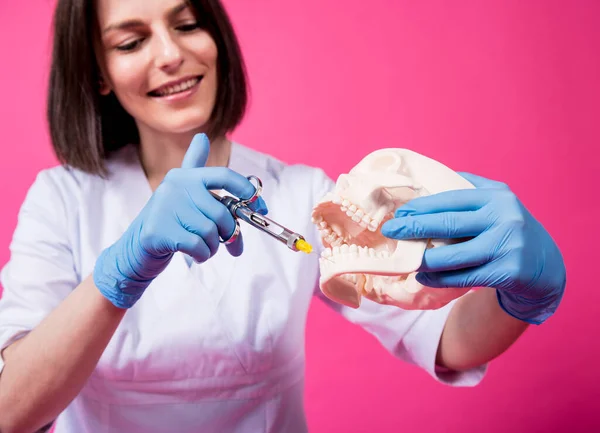 Woman dentist with a carpool syringe injects anesthetic into the gum of the artificial skull — Stock Photo, Image