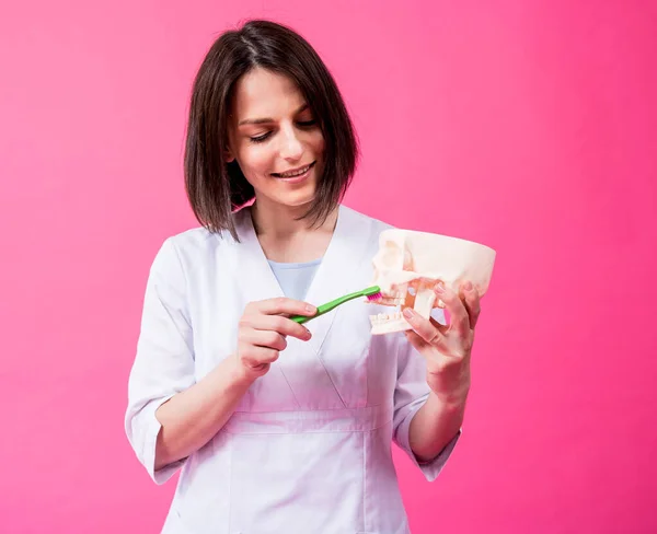 Vrouw tandarts poetsen tanden van een kunstmatige schedel met behulp van een enkele getuft tandenborstel — Stockfoto