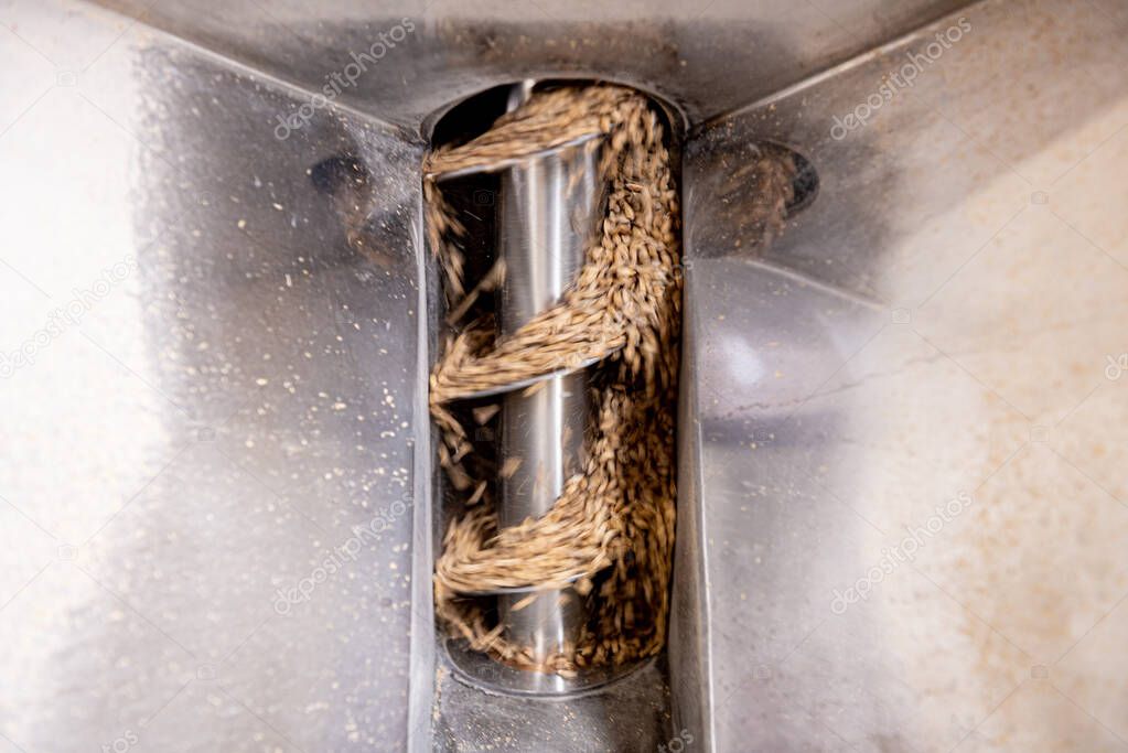 The technological process of grinding malt seeds at the mill