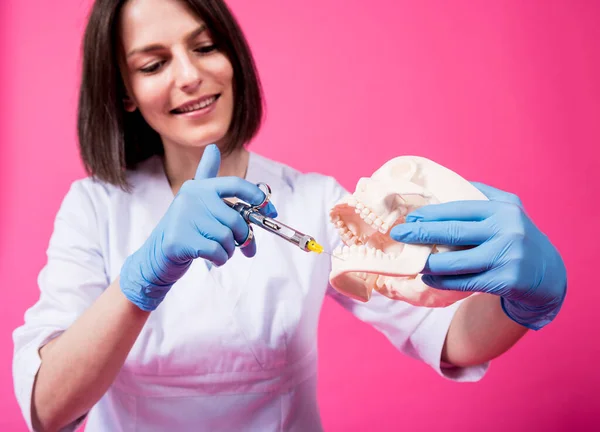 Zahnärztin mit Fahrgemeinschaftsspritze injiziert Narkosemittel in das Zahnfleisch des künstlichen Schädels — Stockfoto