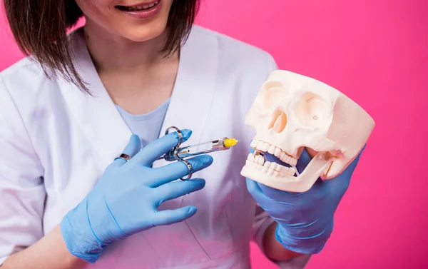 Woman dentist with a carpool syringe injects anesthetic into the gum of the artificial skull — Stock Photo, Image