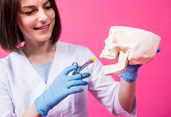 Woman dentist with a carpool syringe injects anesthetic into the gum of the artificial skull — Stock Photo, Image