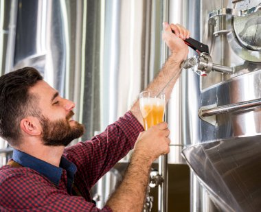 Deri önlük giyen genç bira imalathanesinde bira test ediyor.