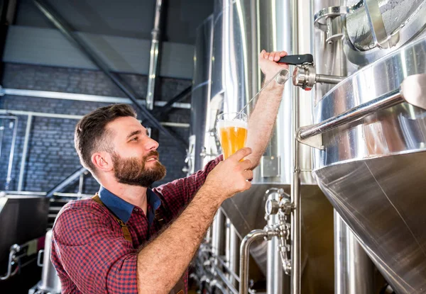 Jonge brouwer met een leren schort test bier in een moderne brouwerij — Stockfoto