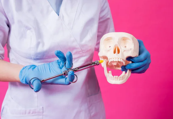 Woman dentist with a carpool syringe injects anesthetic into the gum of the artificial skull — Stock Photo, Image