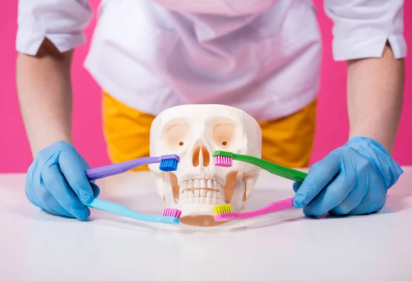 Woman dentist brushing teeth of an artificial skull using a four toothbrushes — Stock Photo, Image