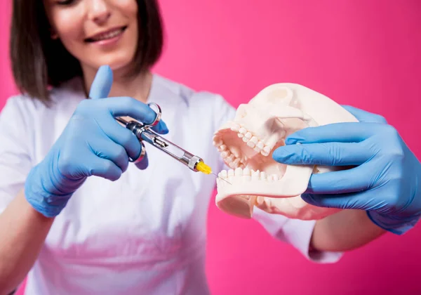 Woman dentist with a carpool syringe injects anesthetic into the gum of the artificial skull — Stock Photo, Image