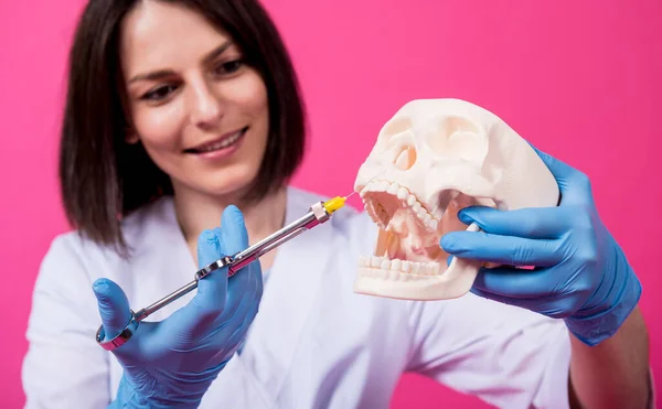 Woman dentist with a carpool syringe injects anesthetic into the gum of the artificial skull — Stock Photo, Image