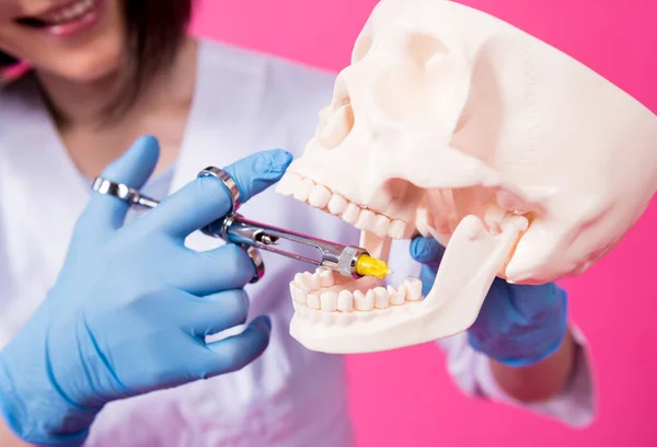 Woman dentist with a carpool syringe injects anesthetic into the gum of the artificial skull — Stock Photo, Image