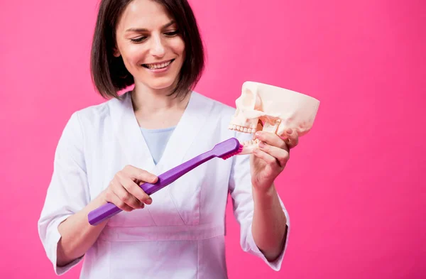 Zahnärztin beim Zähneputzen eines künstlichen Schädels mit einer großen Zahnbürste — Stockfoto