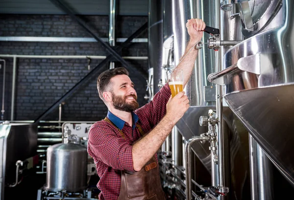 Jonge brouwer met een leren schort test bier in een moderne brouwerij — Stockfoto