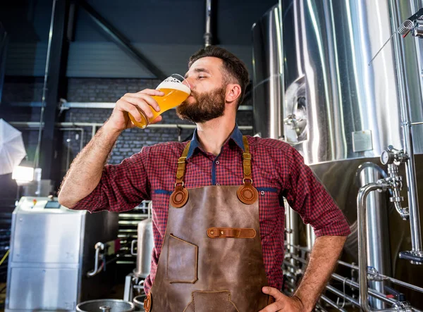 Jonge brouwer met een leren schort test bier in een moderne brouwerij — Stockfoto