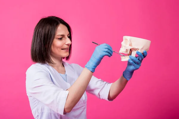 Zahnärztin untersucht Mundhöhle des künstlichen Schädels mit sterilen zahnmedizinischen Instrumenten — Stockfoto