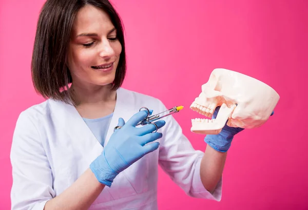 Woman dentist with a carpool syringe injects anesthetic into the gum of the artificial skull — Stock Photo, Image