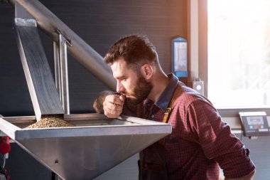 Deri önlüklü genç bir bira üreticisi modern bir bira fabrikasında malt tohumlarının öğütülmesini kontrol eder.