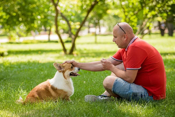Dorosły mężczyzna trenuje walijskiego psa Corgi Pembroke w parku miejskim — Zdjęcie stockowe
