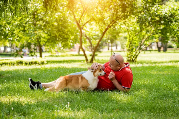 Hombre adulto está entrenando a su perro galés Corgi Pembroke en el parque de la ciudad — Foto de Stock