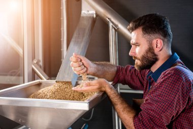 Deri önlüklü genç bir bira üreticisi modern bir bira fabrikasında malt tohumlarının öğütülmesini kontrol eder.