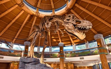 Tahta kubbeli kubbede sergilenen büyük bir dinozor iskeleti sergileniyor..