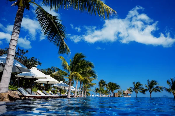 Blue pool with palm trees Stock Picture