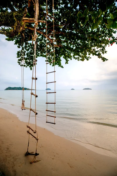 Rope ladders hanging on tree — Stock Photo, Image