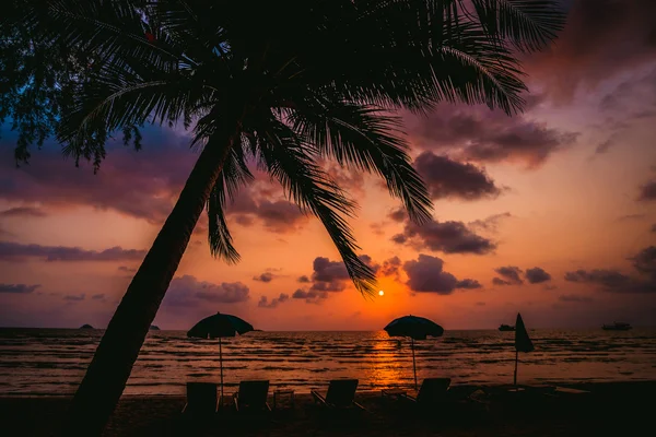 Magnifique coucher de soleil sur la plage — Photo
