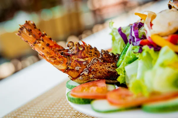 Kırmızı istakoz deniz ürünleri salatası ile — Stok fotoğraf