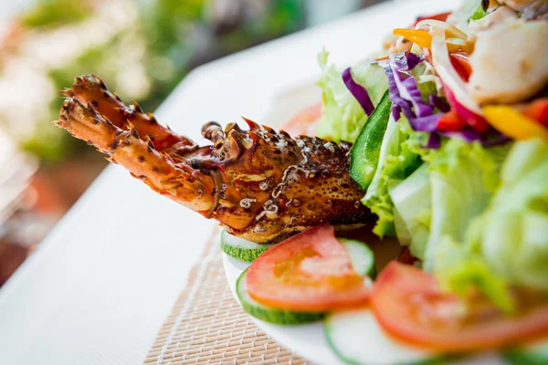 Kırmızı istakoz deniz ürünleri salatası ile — Stok fotoğraf