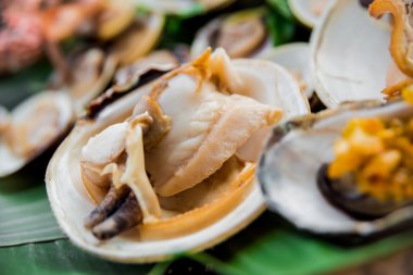 Kabukları yeşil palmiye yaprağı