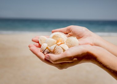 deniz kabuklarını elinde toplanması