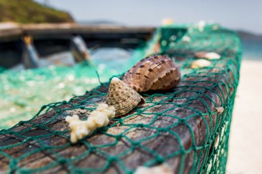 Deniz yeşil Balık ağı ile