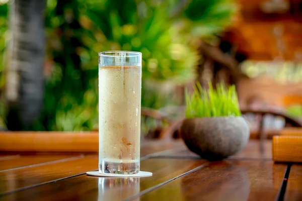 Koktejl v dlouhé sklo — Stock fotografie