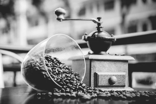 우아한 커피 분쇄기 커피 콩 — 스톡 사진