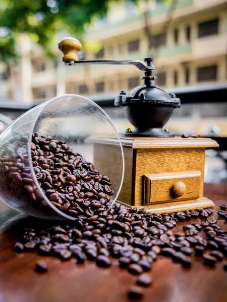 Елегантна кавоварка з кавовими зернами — стокове фото