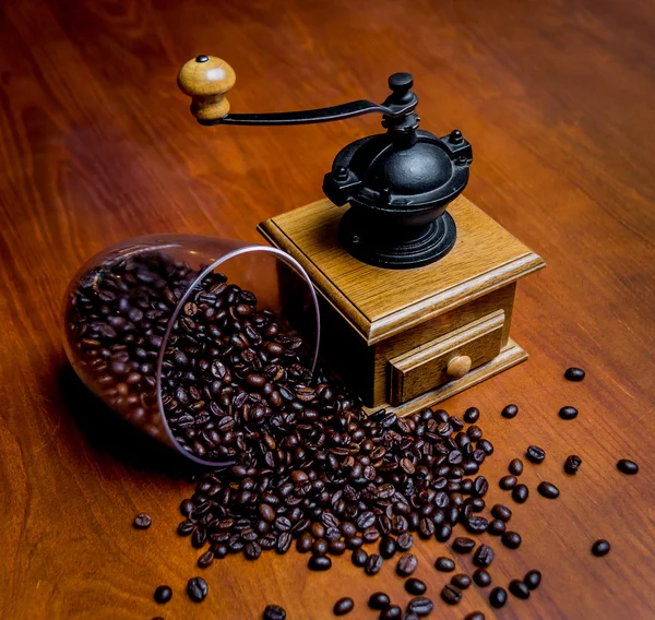 Elegant coffee grinder with coffee beans — Stock Photo, Image