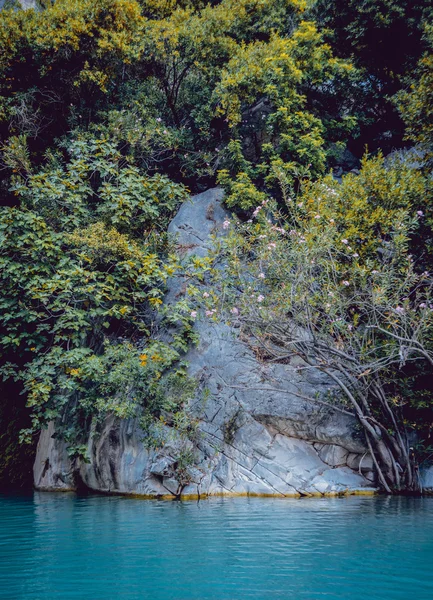 Turkuaz Nehri ile dağ