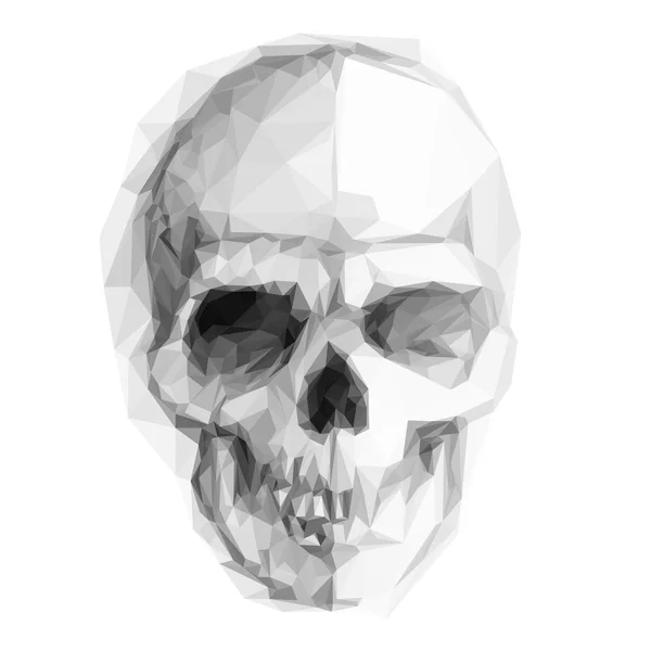 Skull sketch isolated on white background for design — Stock Vector