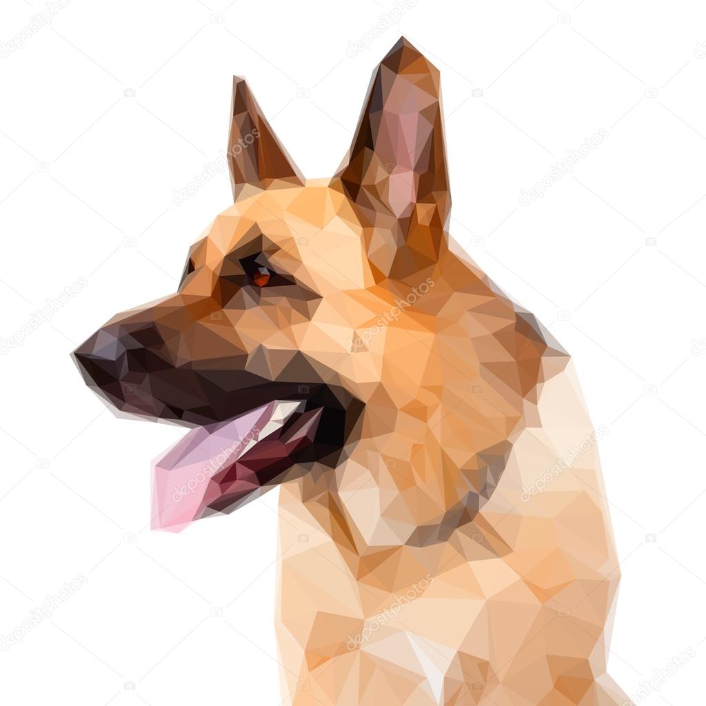 Illustration of Geometric German Shepard Dog Portrait on White
