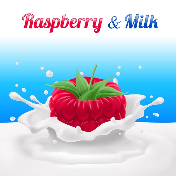 Framboise trempée dans du lait avec éclaboussures. Drop and Sweet, Aliments et Frais et Liquides — Image vectorielle