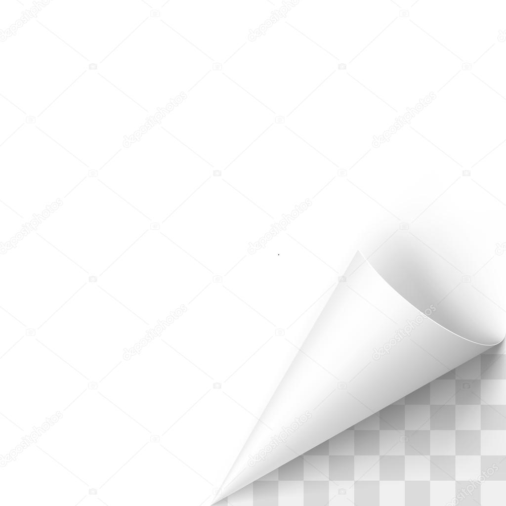Curled White Paper Corner with Transparent Background