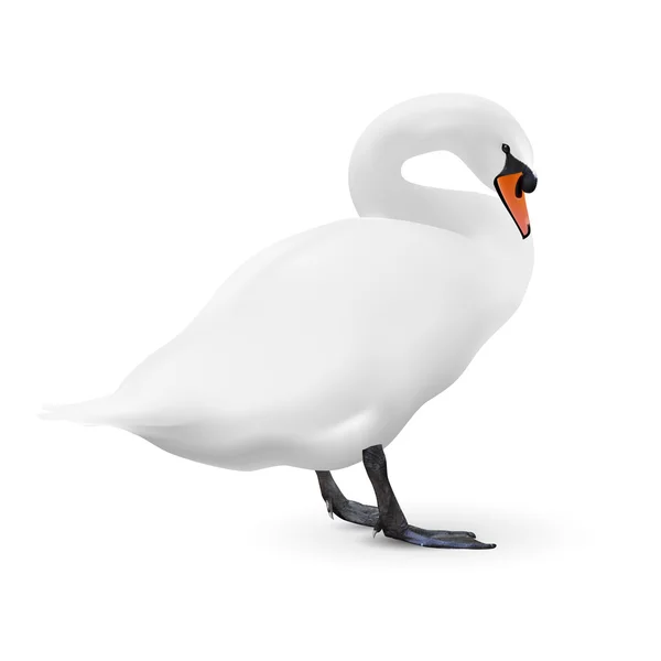 Cisne blanco aislado sobre blanco — Vector de stock