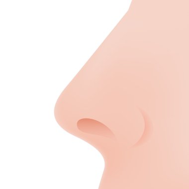 Nose Icon in Flat Design on White Background clipart
